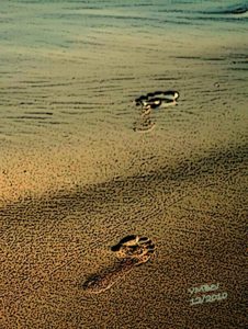 Footprints2