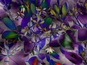 Little-White-Flowers