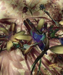 Osman-Kisakurek-Nella_