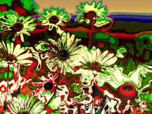 Wild-Flowers-2009